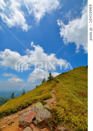 四阿山・根子岳登山 (47) 四阿山・根子岳登山 (47) 16459969