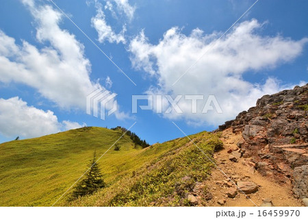 四阿山・根子岳登山 (48) 16459970