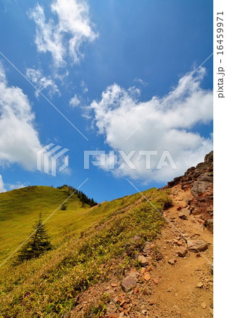 四阿山・根子岳登山 (49) 16459971