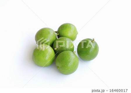 タイの野菜、マナーオ(タイ・ライム) タイの野菜、マナーオ(タイ・ライム) 16460017