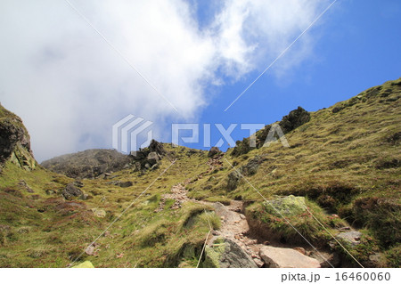 日光白根山登山道を見上げる 日光白根山登山道を見上げる 16460060