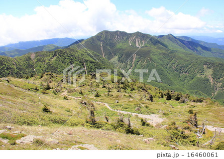 日光白根山登山道を見下ろす 日光白根山登山道を見下ろす 16460061