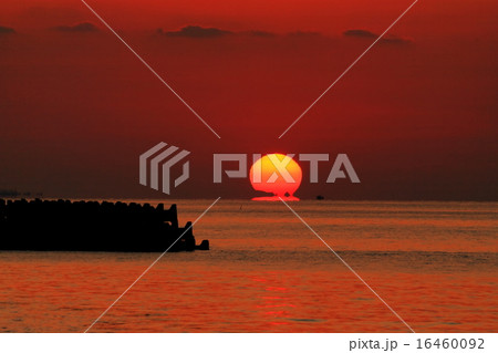 達磨夕日 達磨夕日 16460092