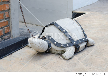 turtle stone put on a rock belt turtle stone put on a rock belt 16460381
