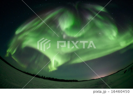 イエローナイフのオーロラ 16460450