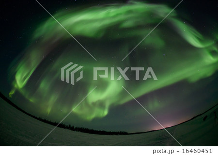イエローナイフのオーロラ イエローナイフのオーロラ 16460451