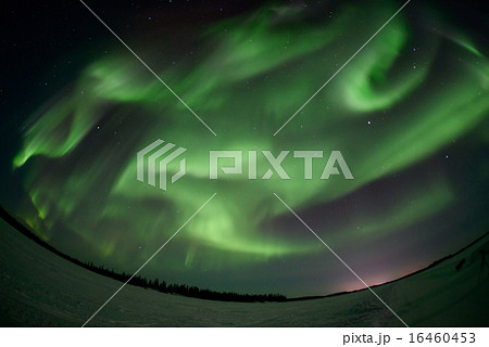 イエローナイフのオーロラ イエローナイフのオーロラ 16460453