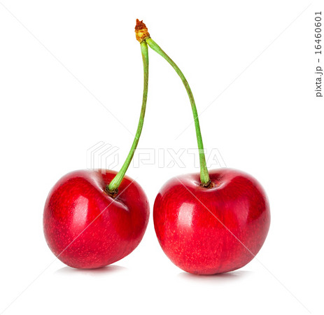 Cherries isolated on white background Cherries isolated on white background 16460601