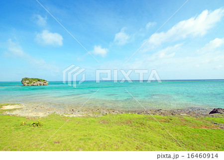 美しい海と緑の海岸、沖縄 美しい海と緑の海岸、沖縄 16460914