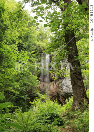 森の向こうに山彦の滝・北海道紋別郡遠軽町丸瀬布 16461113
