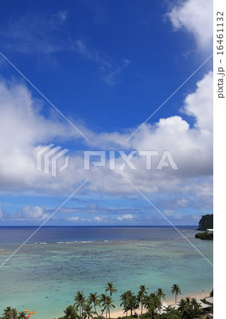 きれいなグアムの海 16461132