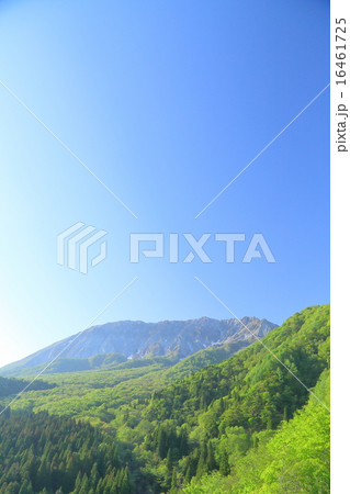 夏の大山 夏の大山 16461725