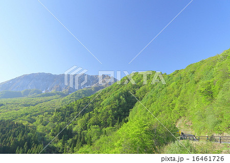 夏の大山 夏の大山 16461726