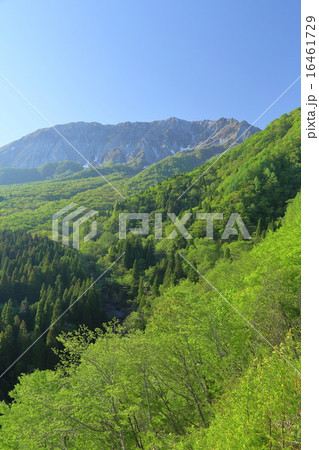 夏の大山 夏の大山 16461729