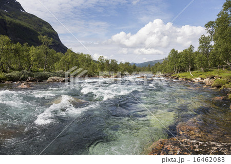 Kleivelvi river in Raundalen valley (Norway) Kleivelvi river in Raundalen valley (Norway) 16462083