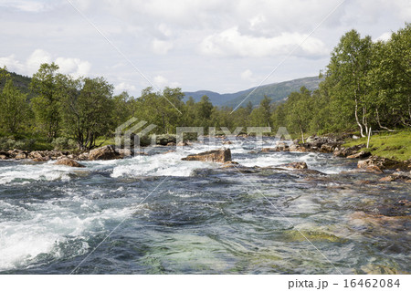 Kleivelvi river in Raundalen valley (Norway) Kleivelvi river in Raundalen valley (Norway) 16462084