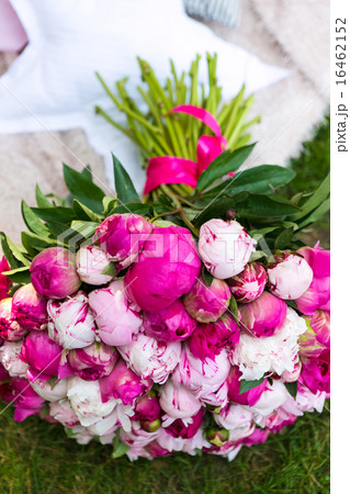 Bouquet of pink peony. Floral pattern. Bouquet of pink peony. Floral pattern. 16462152