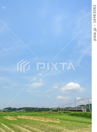 秋の四街道市の田園風景 秋の四街道市の田園風景 16463062