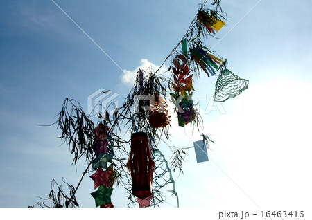 七夕飾り 16463416