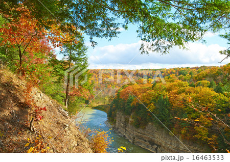 Autumn scene of river and forest Autumn scene of river and forest 16463533