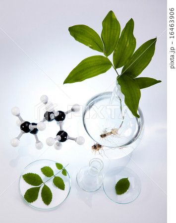 Laboratory pipette, bio organic modern concept Laboratory pipette, bio organic modern concept 16463906