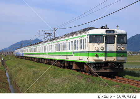 弥彦山バックと越後線115系（7両編成） 16464332