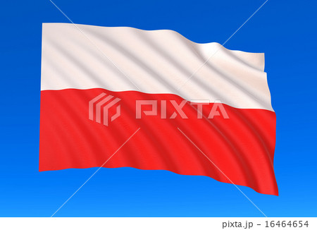 ポーランド国旗 16464654