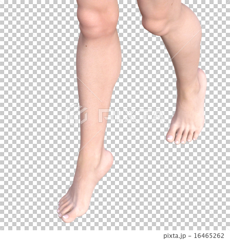 若い女性の脚　レッグケアイメージ　perming3DGCイラスト素材 16465262