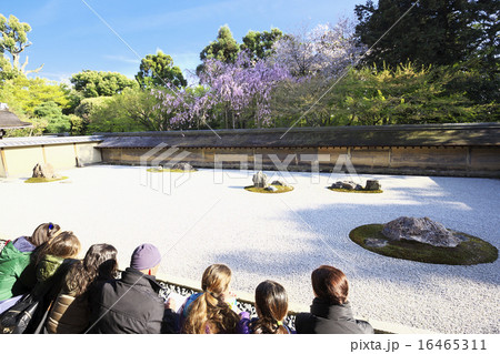 京都龍安寺の石庭を眺める外国人観光客の写真素材