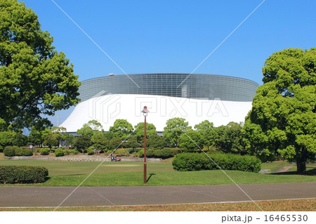 熊本パークドーム 熊本パークドーム 16465530