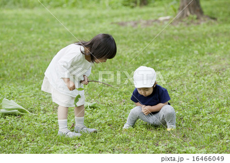 お姉ちゃんと弟 16466049