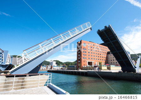 ブルーウイングもじ 16466815