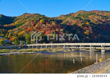 嵐山の紅葉と渡月橋の写真素材