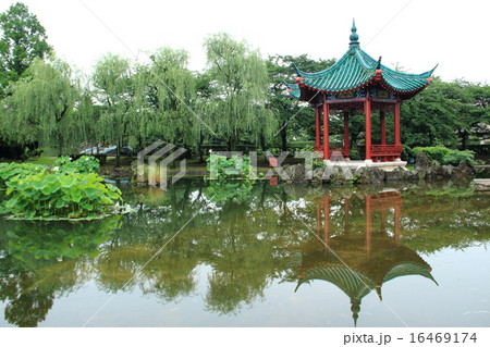 梅雨時の中国風庭園 武漢の森 梅雨時の中国風庭園 武漢の森 16469174