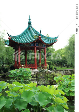 ハスの花が咲く中国風庭園ー武漢の森 16469181