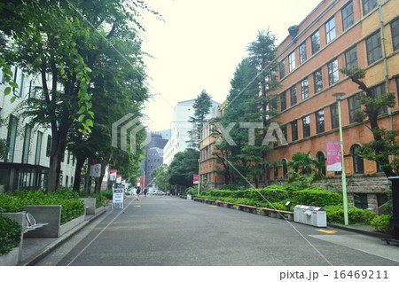 上智大学 16469211