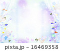 海フレーム　席次 16469358