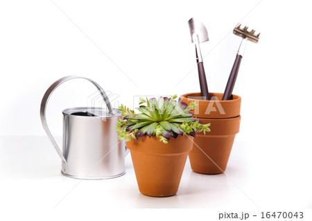Flowers and garden tools on blue sky background 16470043