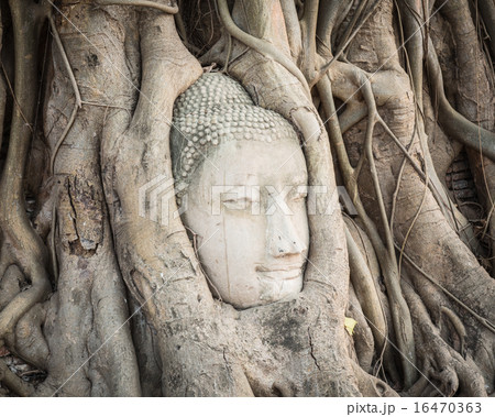 Buddha head in Wat Mahathat 16470363
