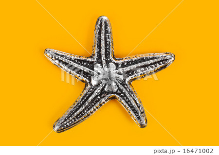 Toy sea star 16471002