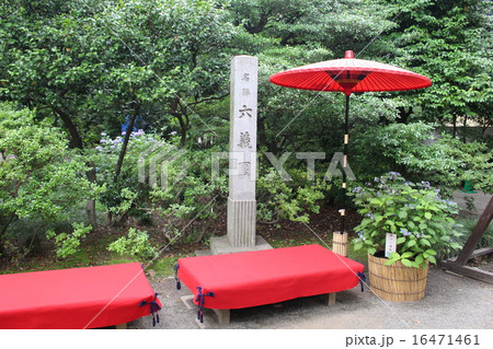 六義園入り口 16471461