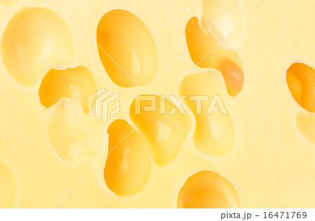 cheese background cheese background 16471769