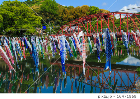 川上峡の鯉のぼり 16471969