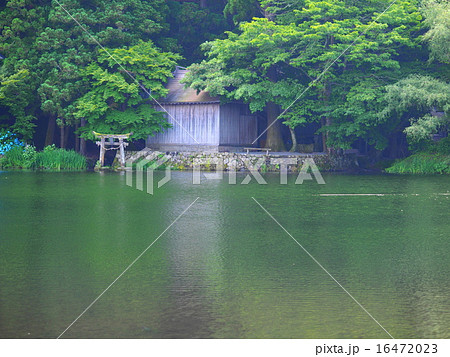 金鱗湖 16472023