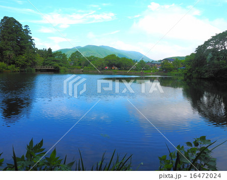 金鱗湖 金鱗湖 16472024