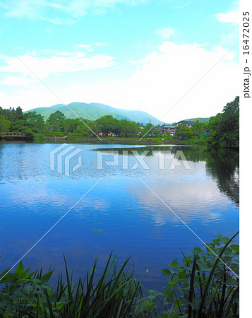 金鱗湖 金鱗湖 16472025