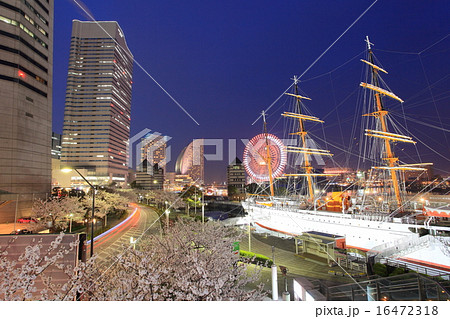 日本丸夜桜 日本丸夜桜 16472318