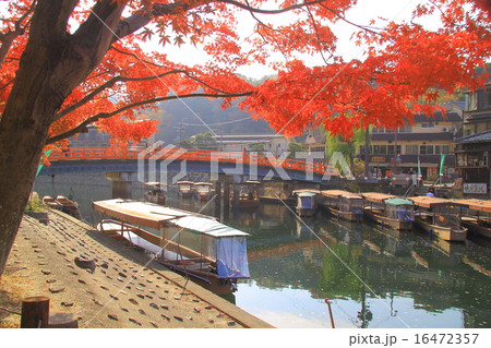 宇治公園（京都）の紅葉 16472357