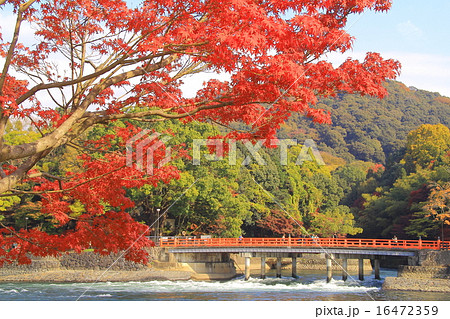 宇治公園（京都）の紅葉 16472359