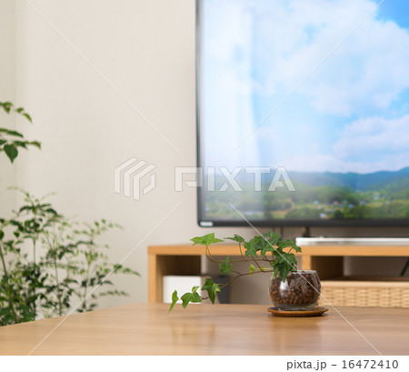 テレビのある部屋 テレビのある部屋 16472410